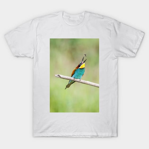 European bee-eater (Merops apiaster) T-Shirt by GrahamPrentice